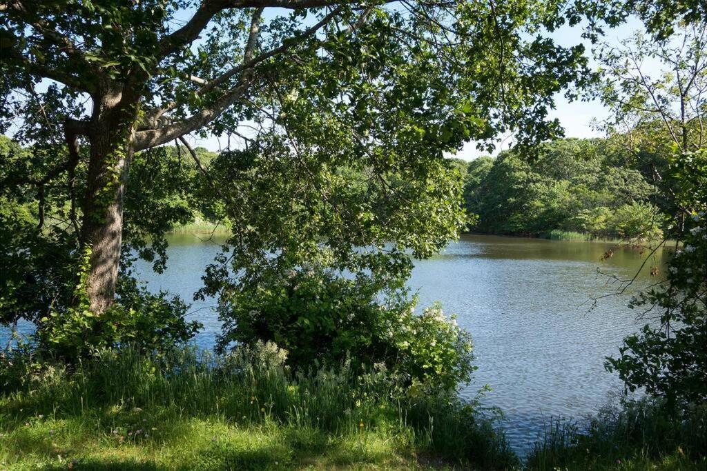 Walk To - Bright, Pond-facing 2br Leisurama