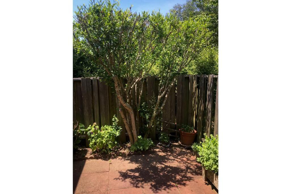 Walk To - Bright, Pond-facing 2br Leisurama