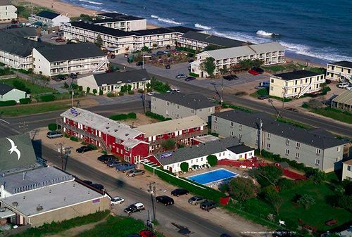 Daunts Albatross Motel