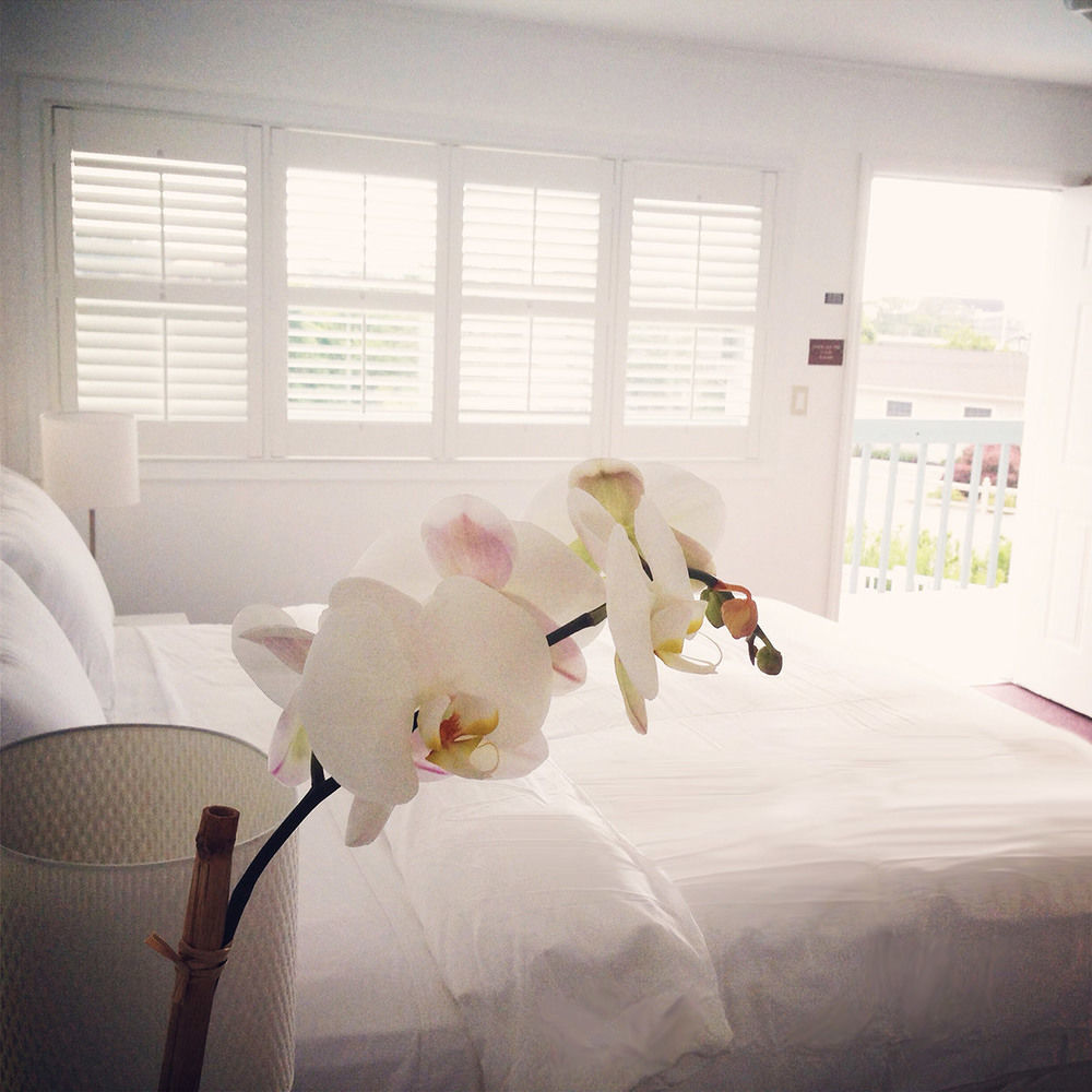 Haven 4* Montauk