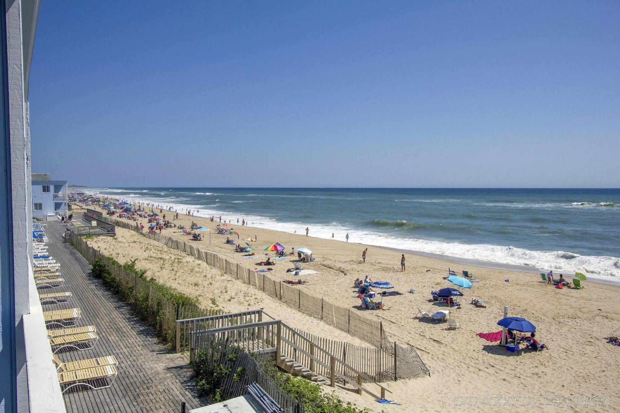 Blue 3* Montauk