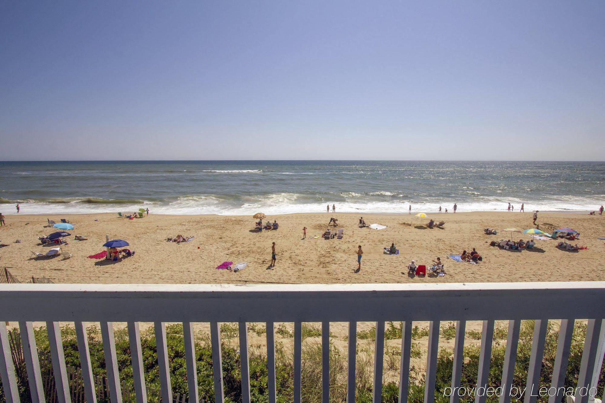 Blue 3* Montauk