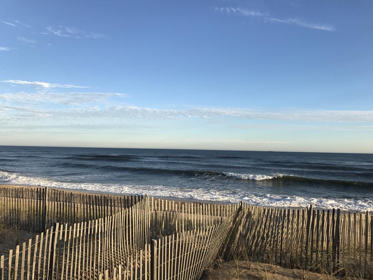Ocean Surf 3*
