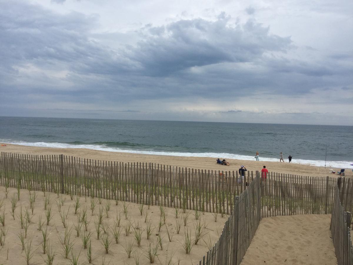 Ocean Surf 3*