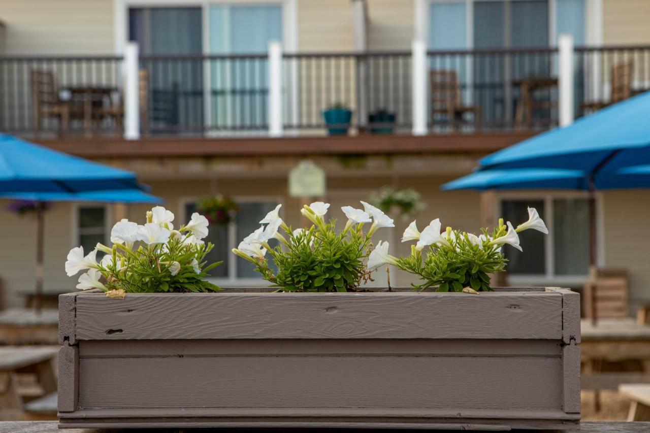 Aqualina - Adults Only Montauk